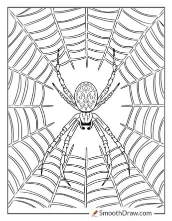 Spider Spinning a Web coloring page