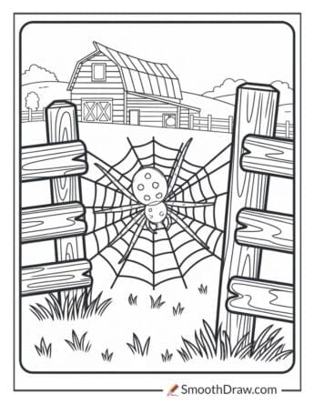 Spider Spinning a Web on a Farm Fence