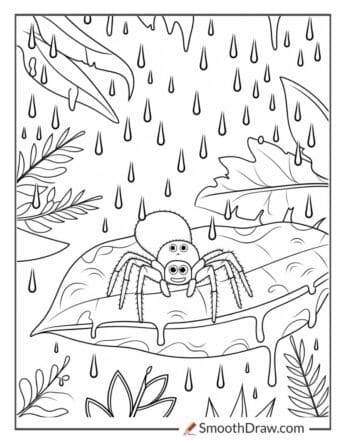 Spider in a Rainy Forest coloring sheet