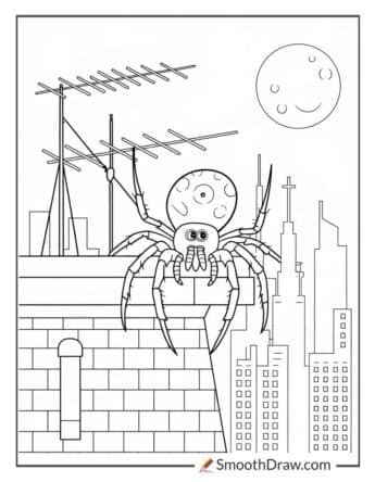 Spider on a Rooftop at Night
