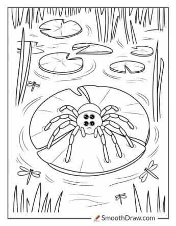 Swamp Spider on a Lily Pad