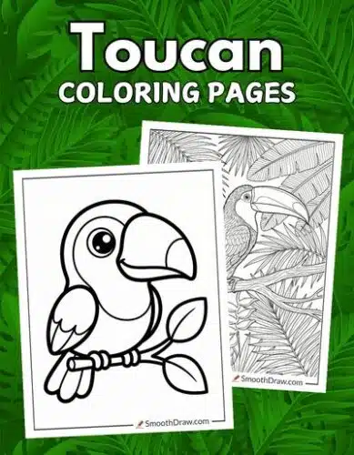 Toucan coloring pages f