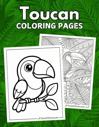 Toucan coloring pages f