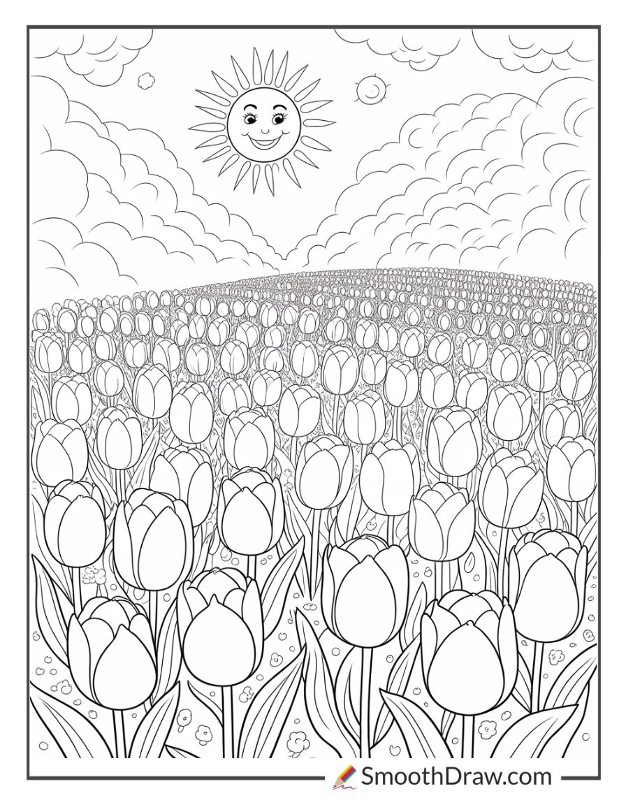 Tulip Field Under Bright Sunshine