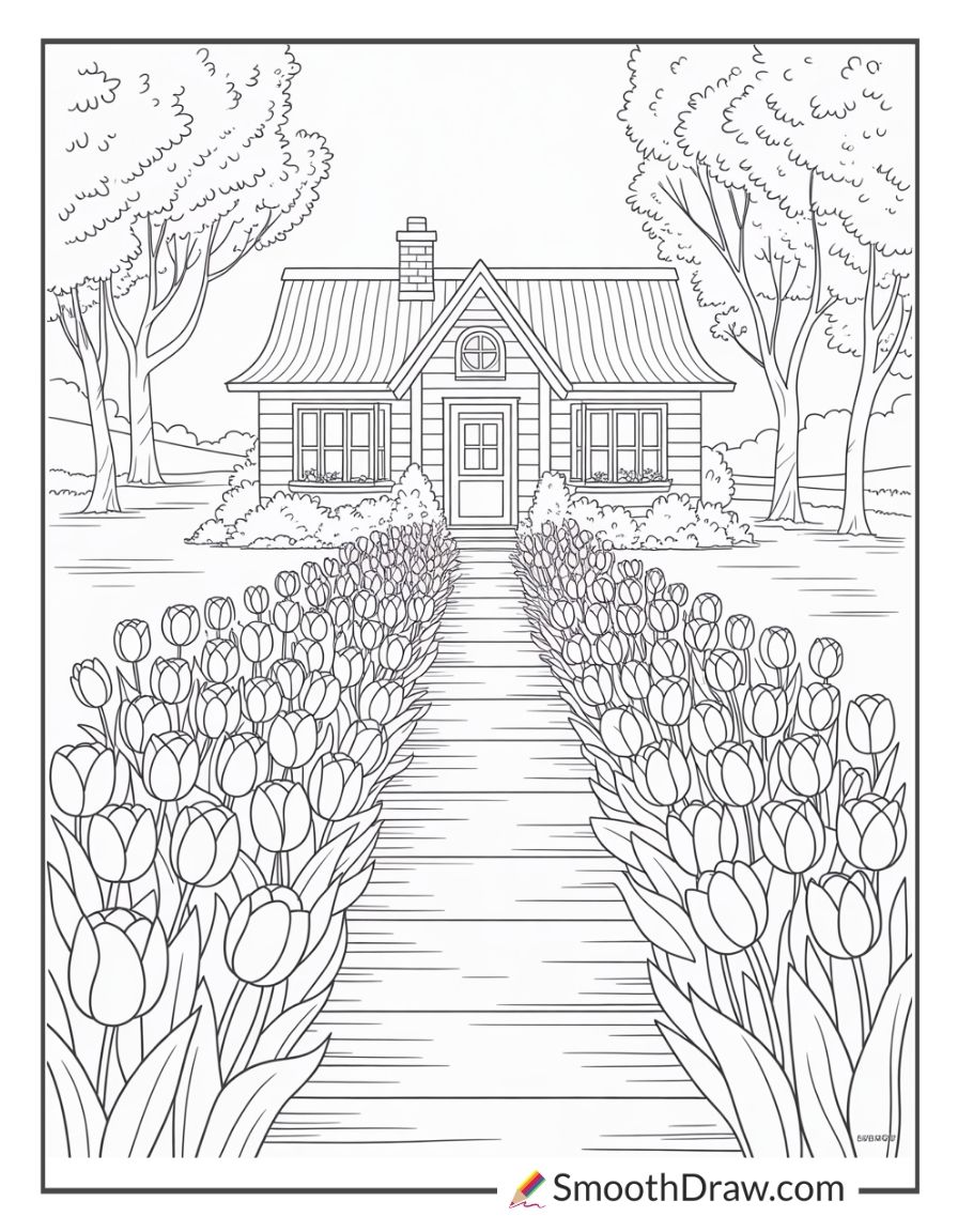 Tulip Lined Walkway By A Cottage