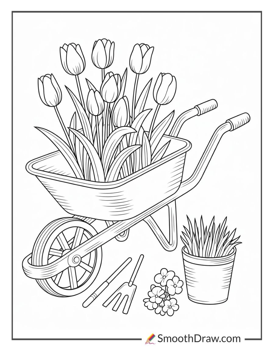 Tulips Beside A Rustic Wheelbarrow