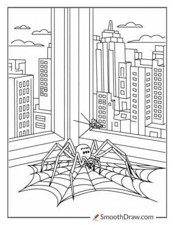 Urban Spider on a Windowsill