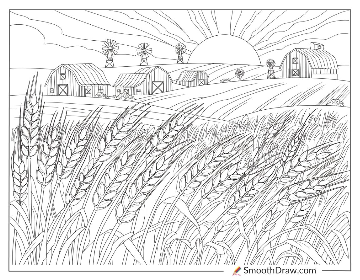 Wheat fields under golden sunset