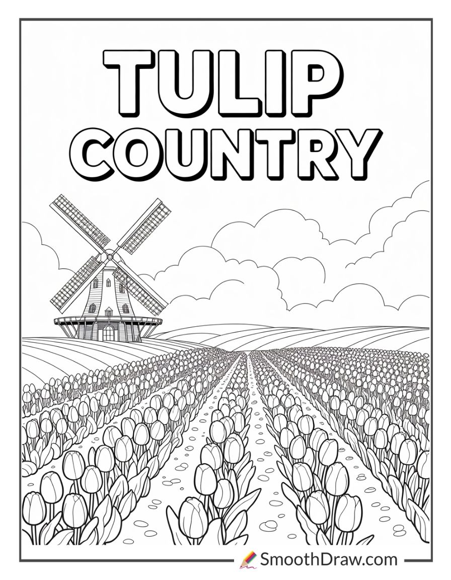 Windmill And Clouds Over Tulip Fields