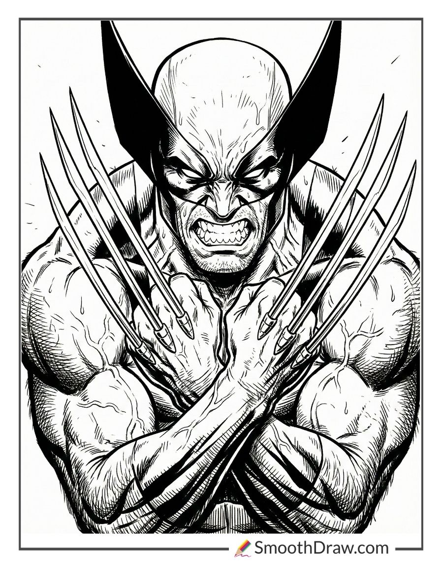 Wolverine snarling with claws extended coloring page