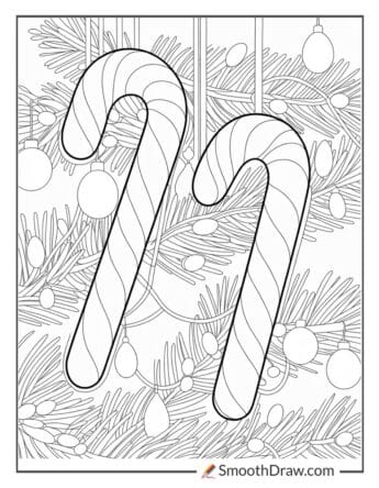 Candy Canes Hanging On Christmas Tree