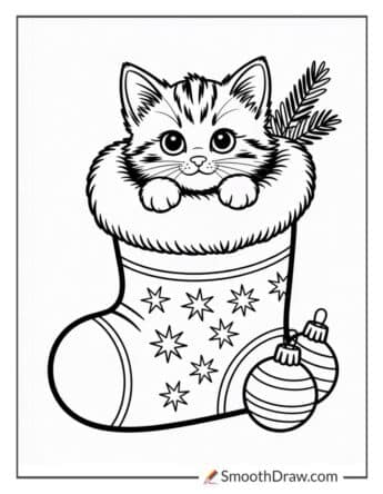 Cute Kitten Peeking Out Of A Stocking