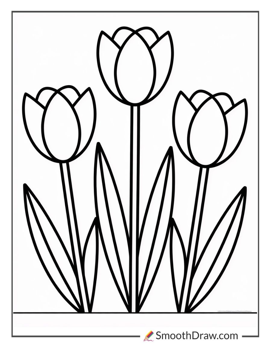 Easy Tulip Coloring Pages