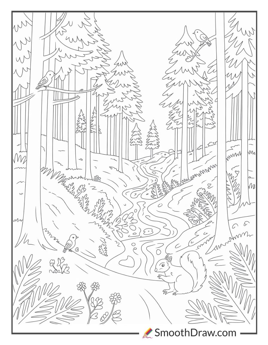 Forest Coloring Page
