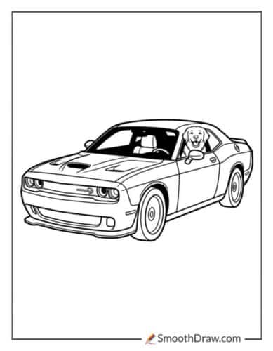Hellcat With A Dog Passenger