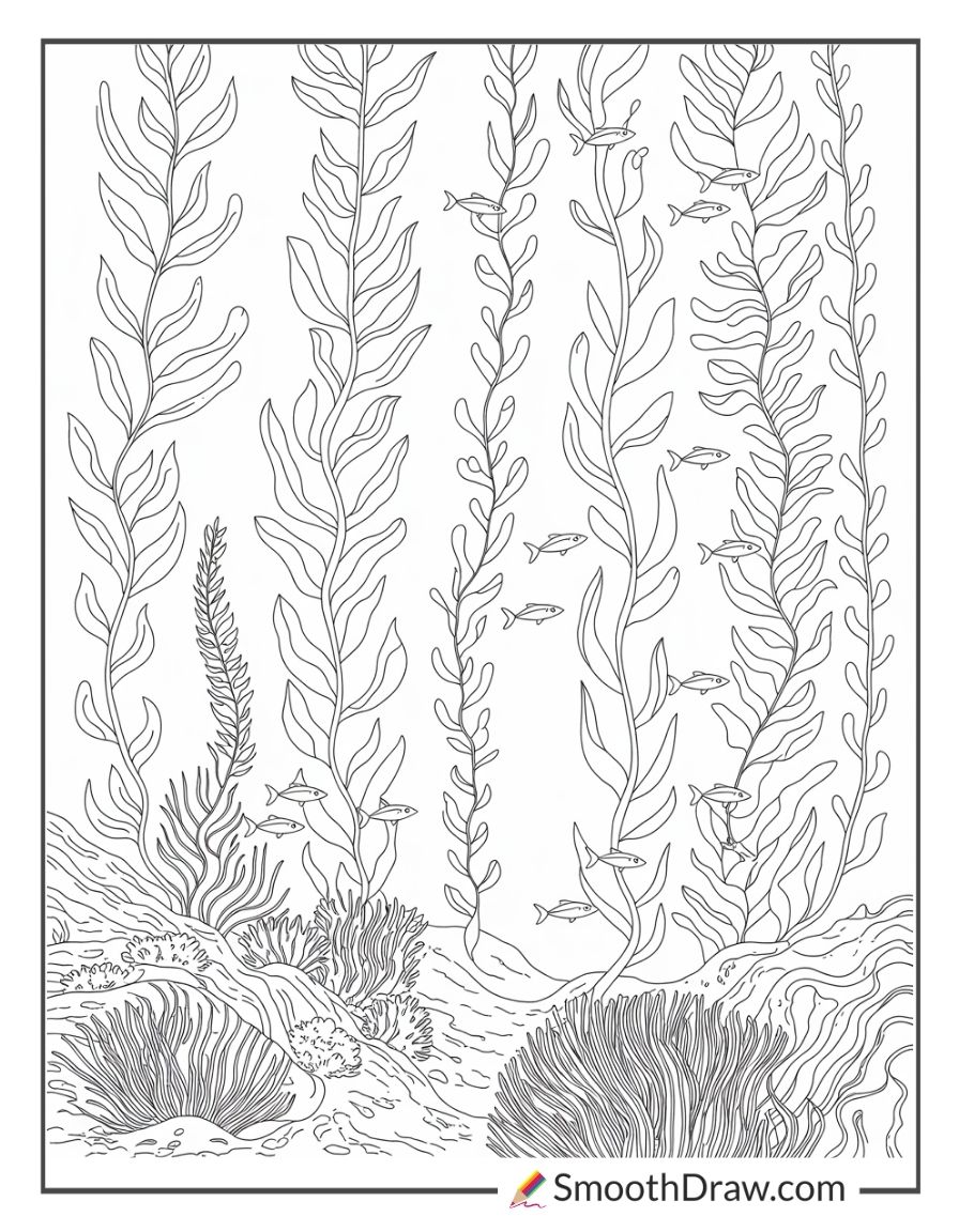 Kelp Forest Coloring Page