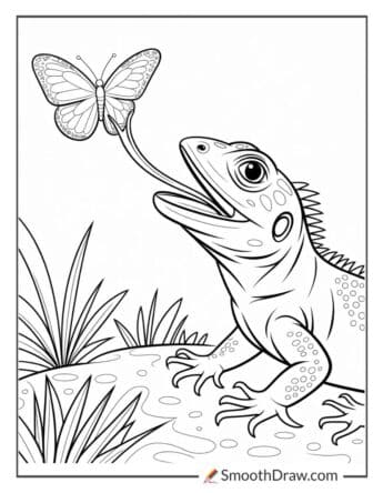 lizard coloring sheet