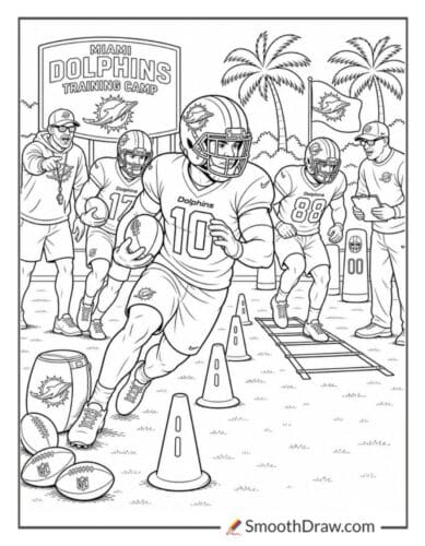 Miami Dolphins Training Camp Drill