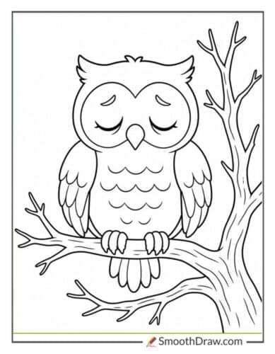 Owl Sitting On A Bare Tree