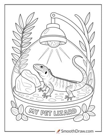 pet lizard
