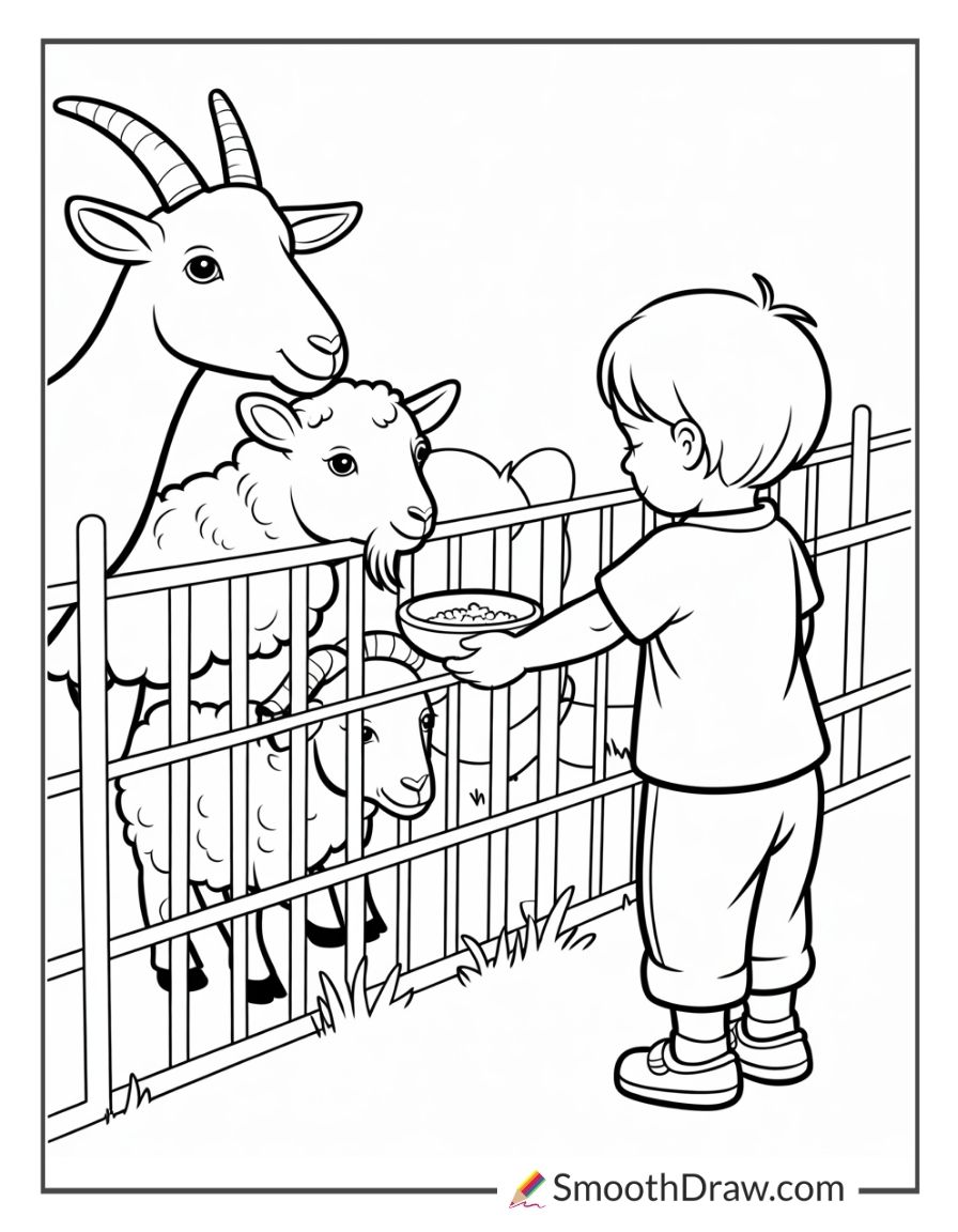 Petting Zoo Coloring Page