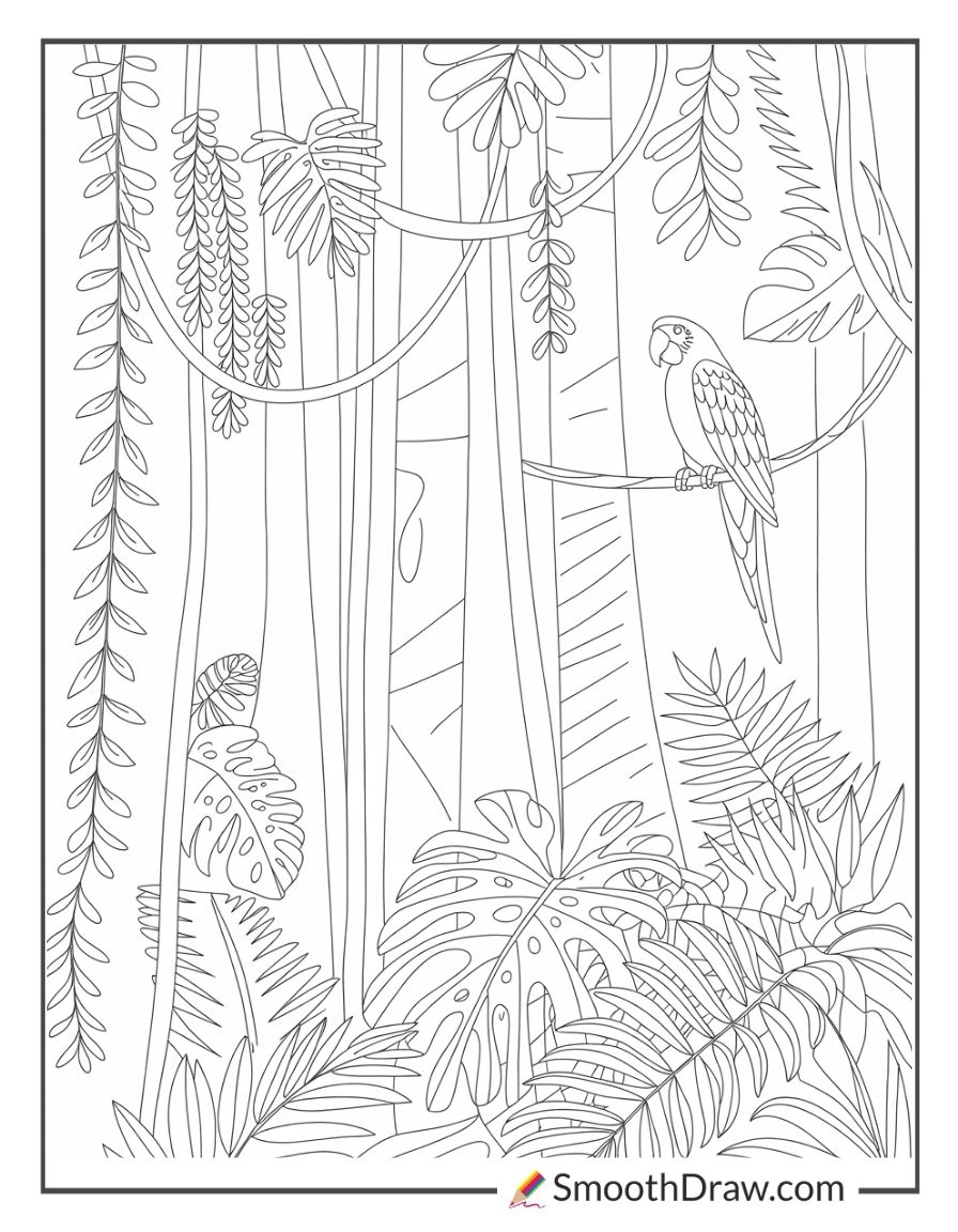 Rain Forest Coloring Pages