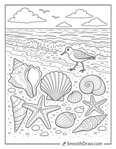 Seashells Near Gentle Waves