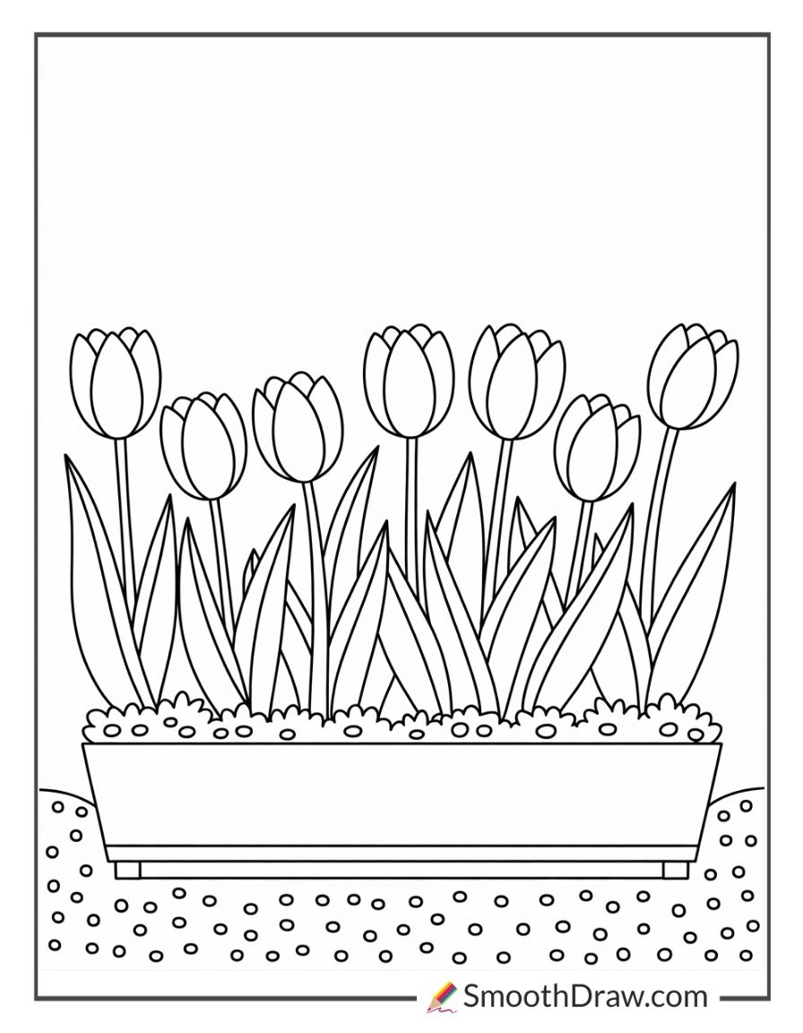 Simple Tulip Coloring Pages