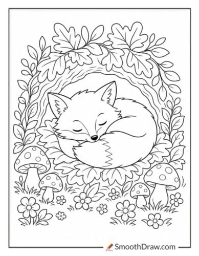 Sleeping Fox In Den