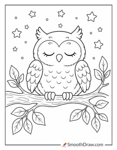 Sleepy Owl On Branch