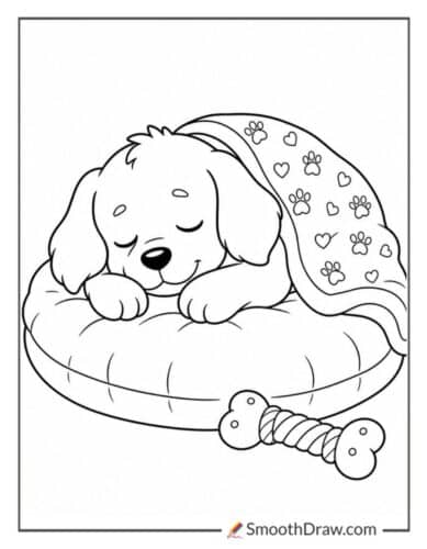 Sleepy Puppy On Cushion