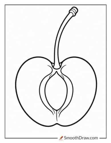 Sliced Cherry With Seed