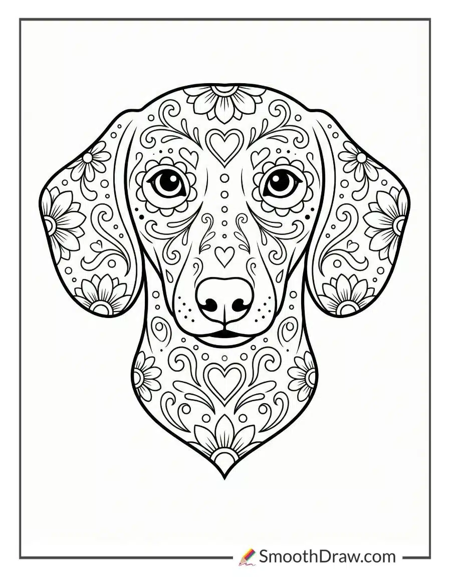 Sugar Skull Dachshund Coloring Page