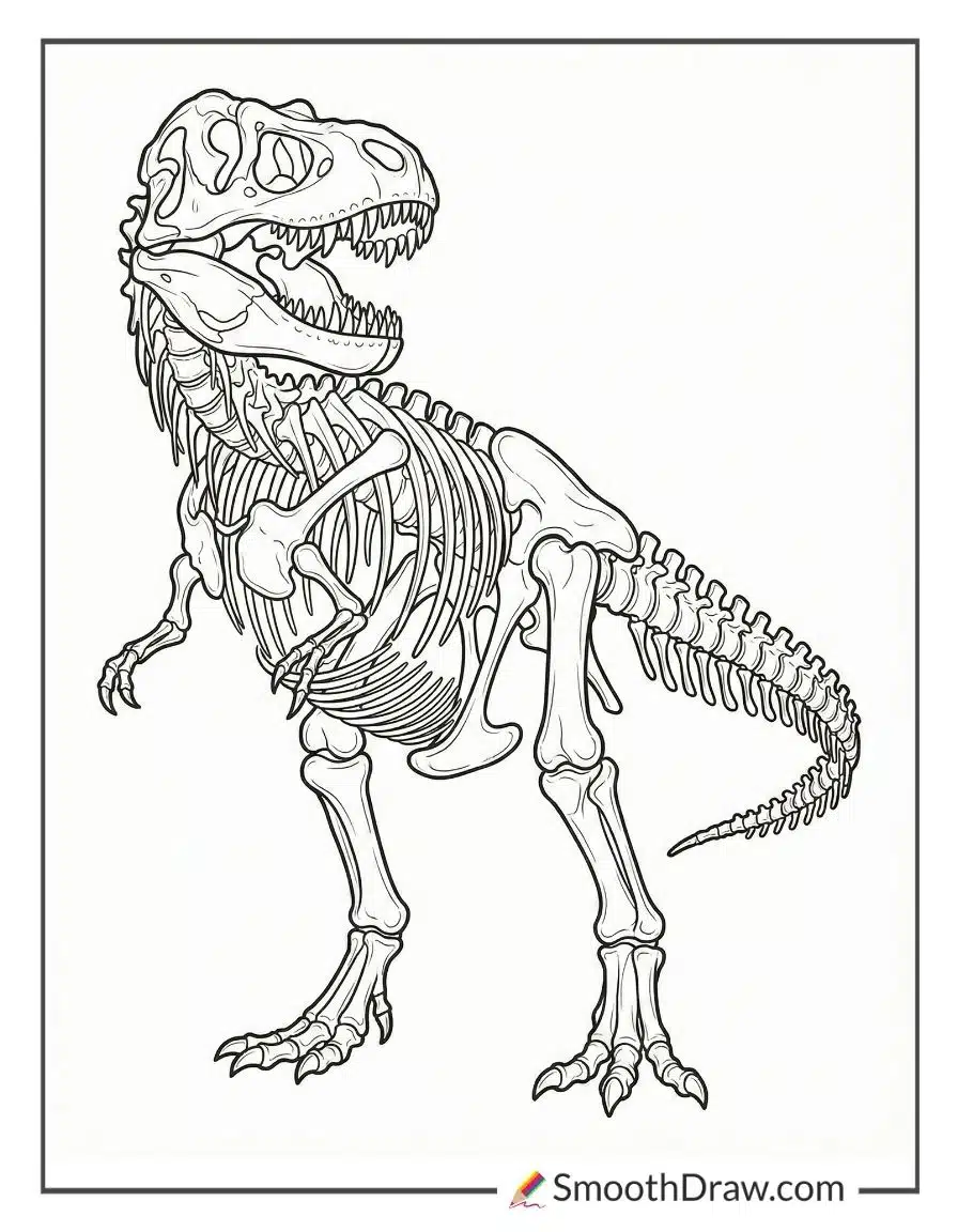 T Rex Skeleton Coloring Page 1
