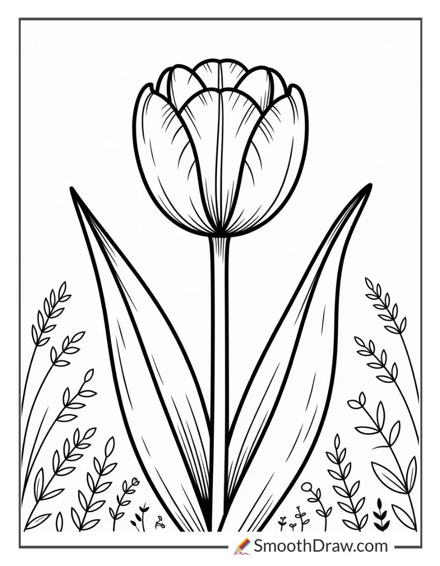 Tulip Flower Coloring Pages