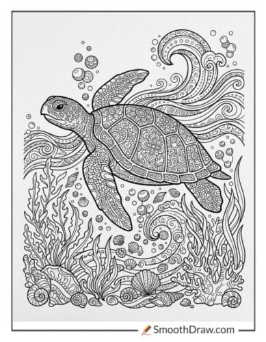 Zentangle Turtle Design